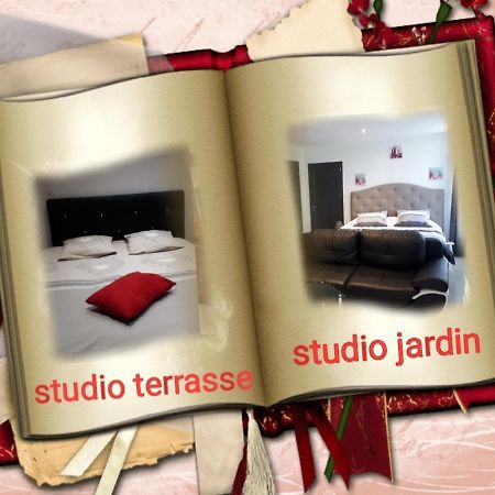 Templeuve-en-PeveleAu Paradis Des Crins Studio Rez De Chaussee Avec Jardin Et Un Autre Studio En Duplex Avec Terrasseアパートメント エクステリア 写真