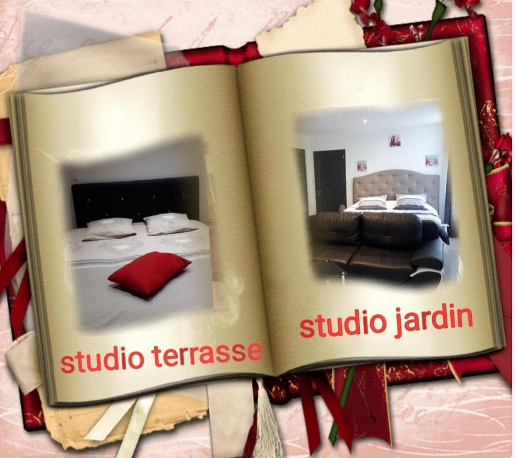 Templeuve-en-PeveleAu Paradis Des Crins Studio Rez De Chaussee Avec Jardin Et Un Autre Studio En Duplex Avec Terrasseアパートメント エクステリア 写真