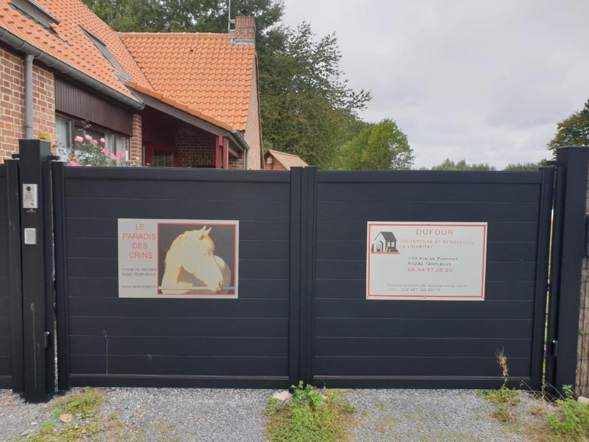 Templeuve-en-PeveleAu Paradis Des Crins Studio Rez De Chaussee Avec Jardin Et Un Autre Studio En Duplex Avec Terrasseアパートメント エクステリア 写真