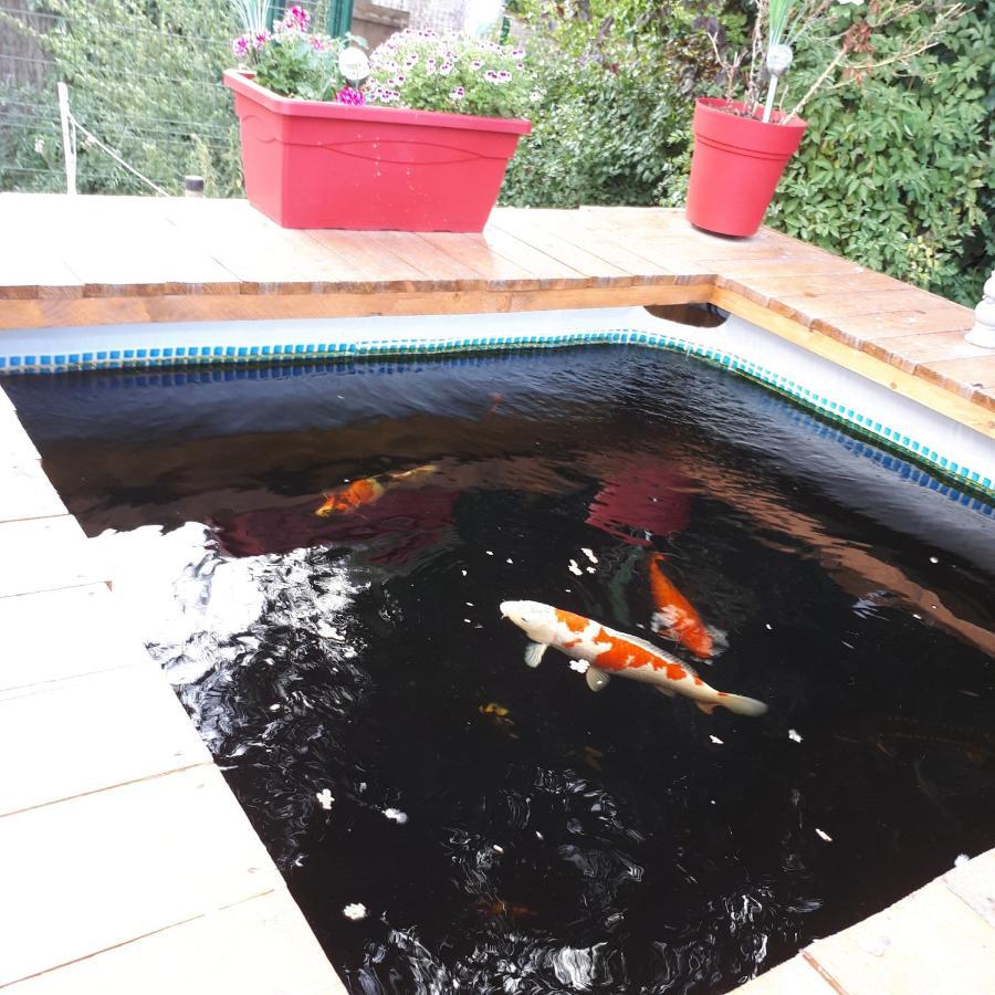 Templeuve-en-PeveleAu Paradis Des Crins Studio Rez De Chaussee Avec Jardin Et Un Autre Studio En Duplex Avec Terrasseアパートメント エクステリア 写真