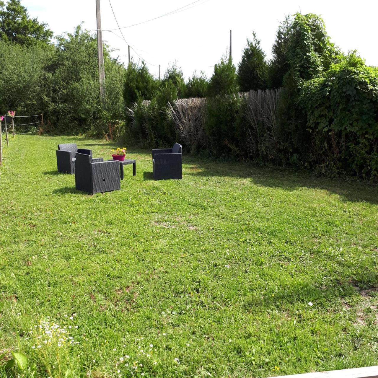 Templeuve-en-PeveleAu Paradis Des Crins Studio Rez De Chaussee Avec Jardin Et Un Autre Studio En Duplex Avec Terrasseアパートメント エクステリア 写真